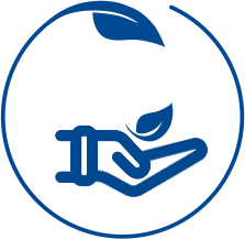 Medicinal plant raw materials - Pharmaceutical factory "Viola" purchases raw materials and materials